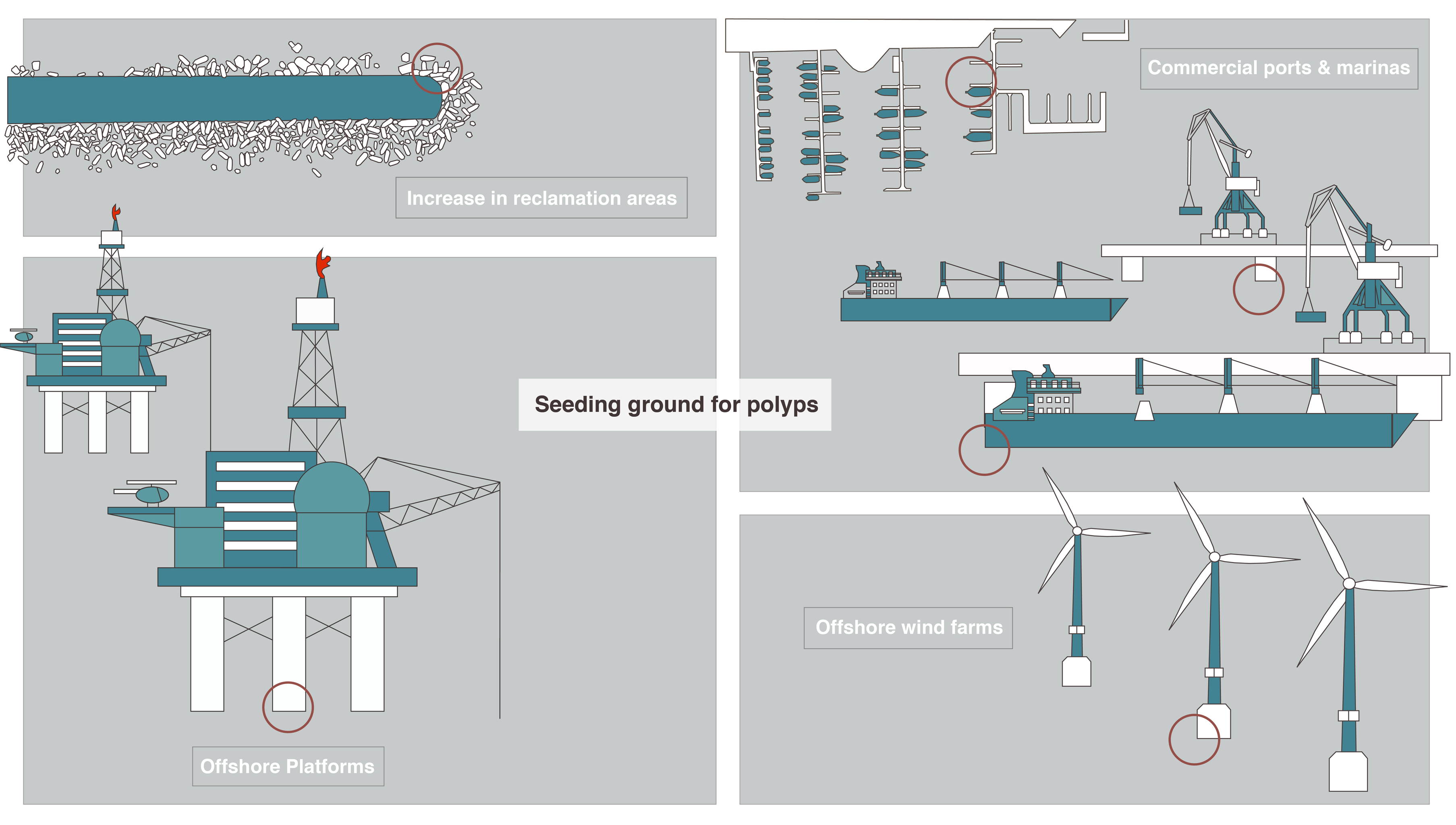 Diagram showing relationship between sea-infrastructure and Jellfish Prolyps