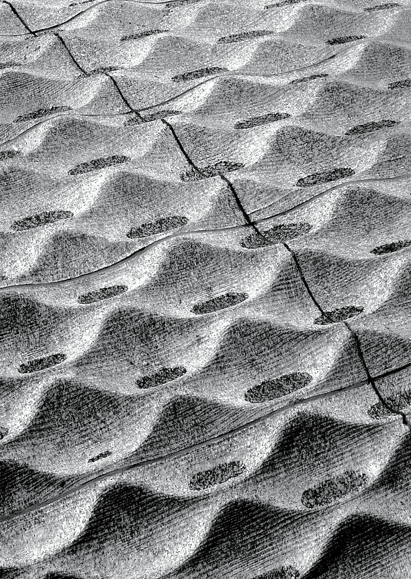 The concrete textures of the Princess Diana Memorial