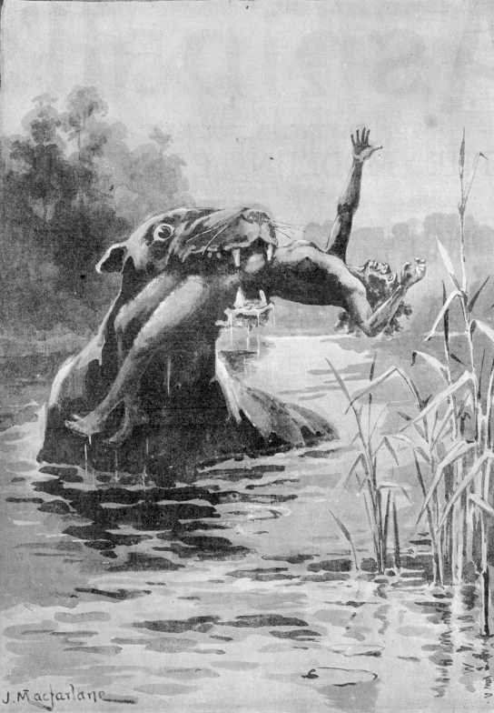 colonial Illustration of the Bunyip.1890.