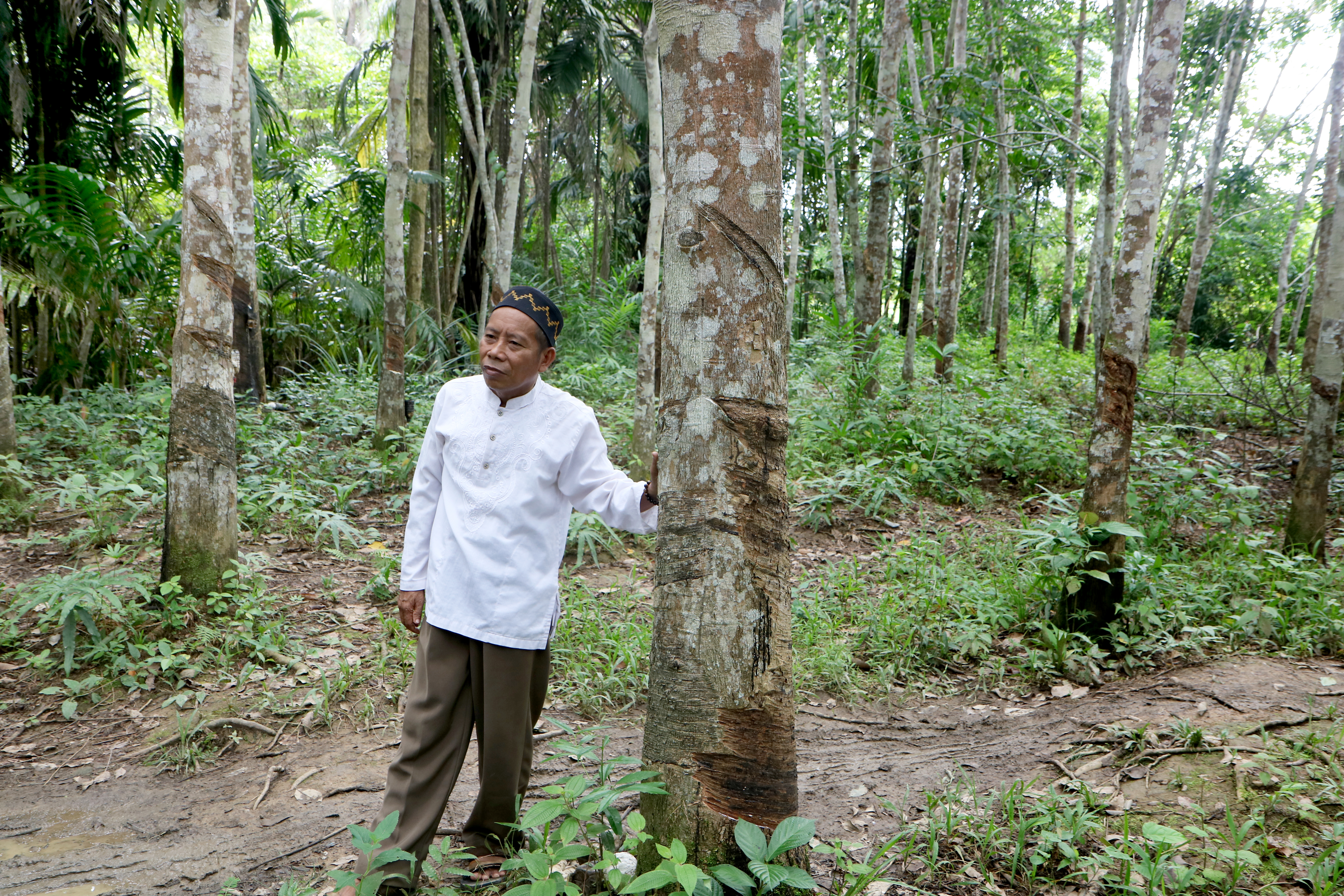 Still from film Tidak ada Kapital showing local chief in a forest, in conversation about local land practices